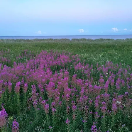10 Person In Vaeggerlose-by Traum Bøtø By