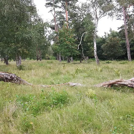 度假居 10 Person In Vaeggerlose-by Traum